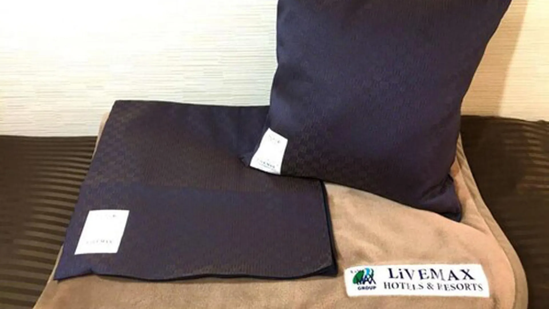 Hotel Livemax Budget Korakuen Τόκιο Ιαπωνία